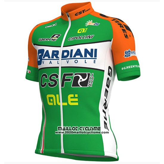 2018 Maillot Ciclismo Bardiani CSF Vert et Blanc Manches Courtes et Cuissard